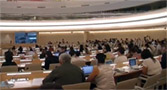 ONU Ginevra - EMRIP 2012